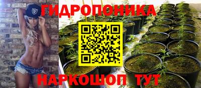 соль ск Новозыбков