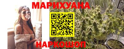 соль ск Новозыбков