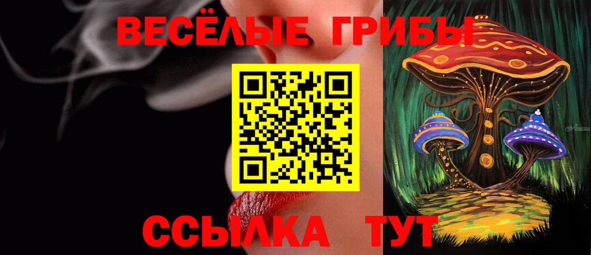Славгород  Галлюциногенные грибы Magic Shrooms  Вход с VPN 
