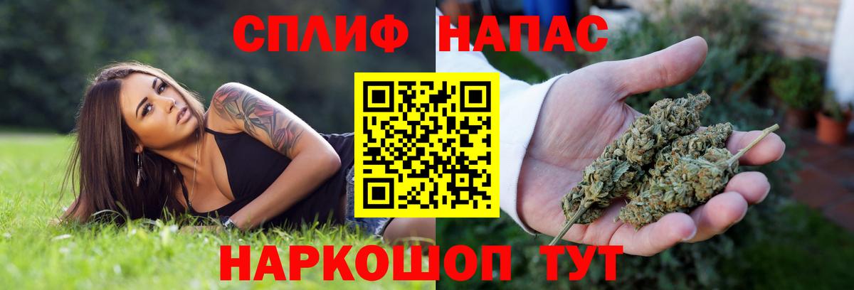 Бошки Шишки VHQ Славгород